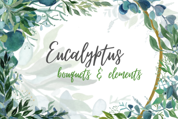 Eucalyptus Watercolor Clipart Bundle for Crafts & Digital Sellers