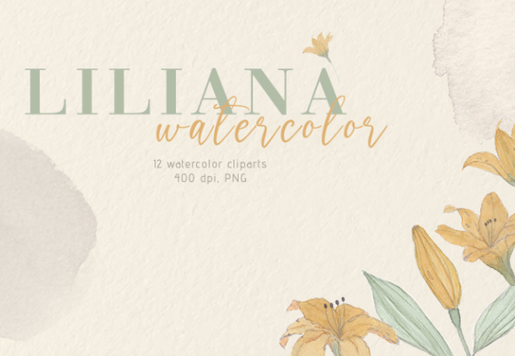 Liliana Watercolor: A Soft, Handmade Touch for Local Branding and Packaging