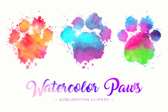 Splash Paw Watercolor Sublimation Design Review